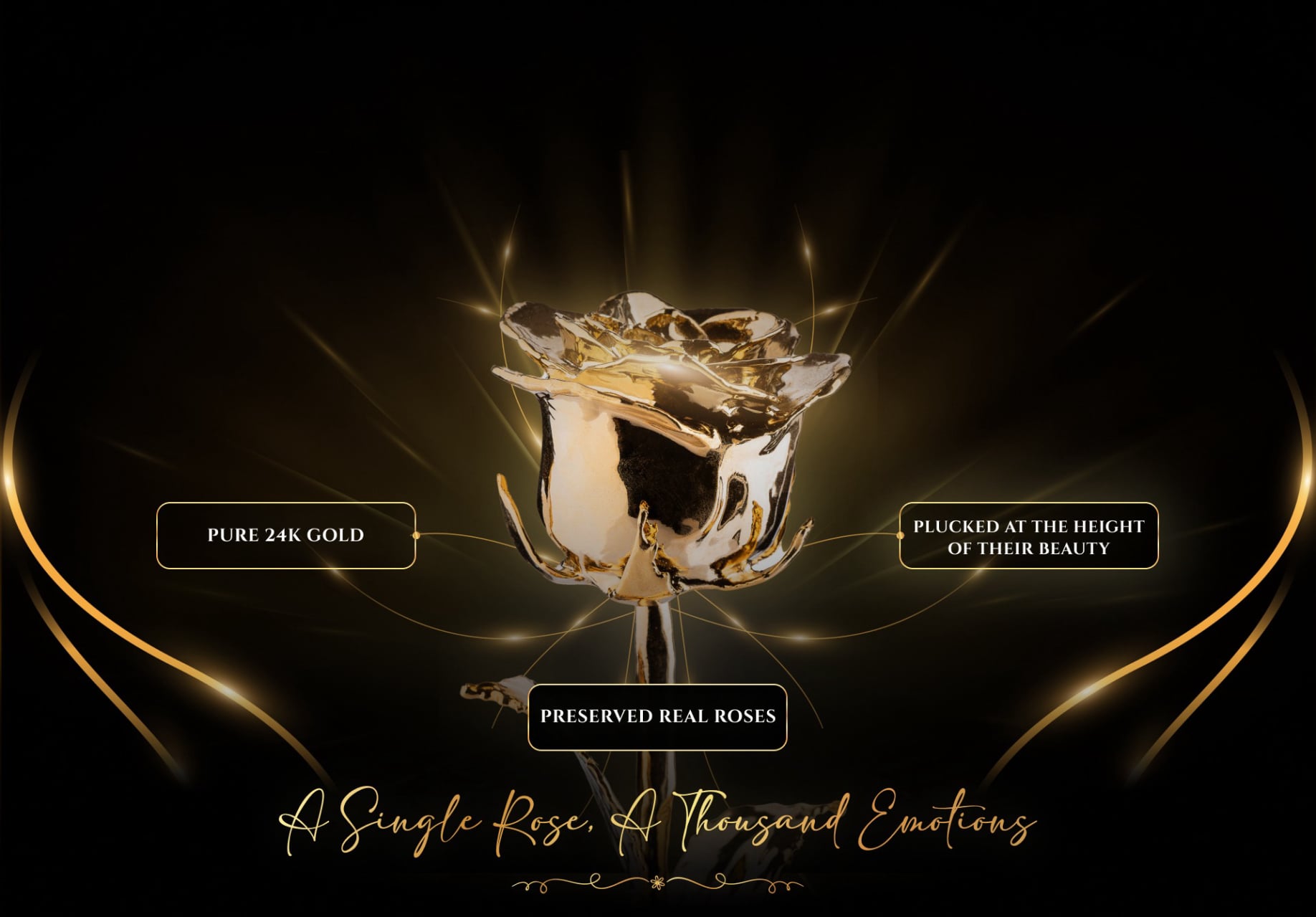 The 24K Golden Rose