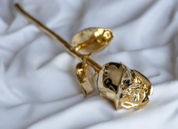 The 24K Golden Rose